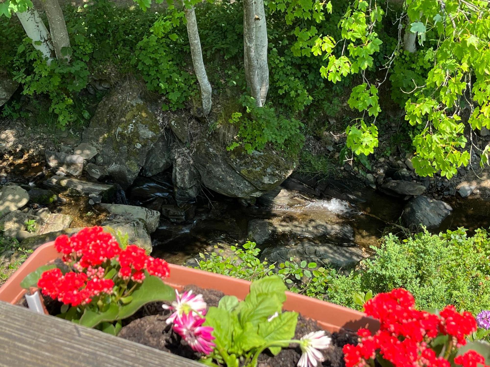 Rivendell 9 Villa Monschau Eksteriør billede