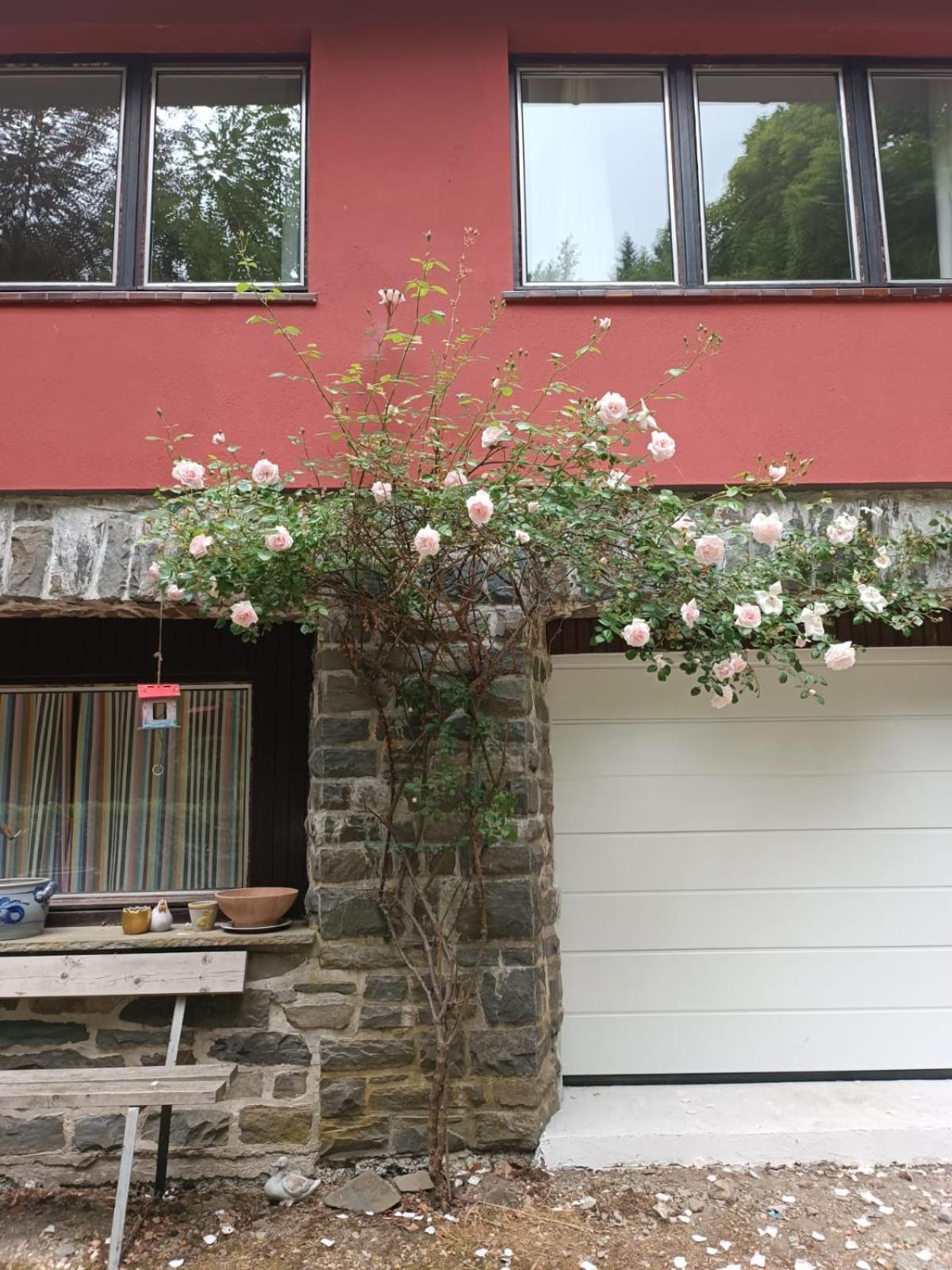 Rivendell 9 Villa Monschau Eksteriør billede